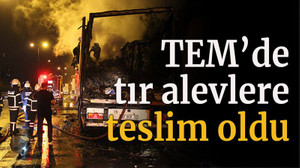 TEM Otoyolu'nda tır alevlere teslim oldu